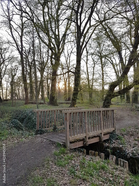 Obraz Die Brücke im Park