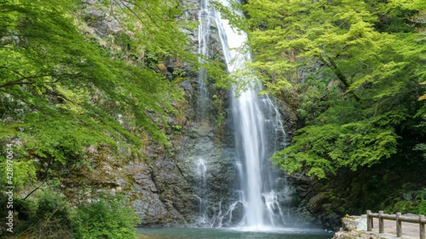 Fototapeta 箕面大滝と青もみじ