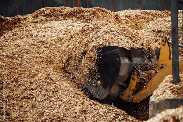Fototapeta the excavator loads wood chips. the large bucket of the conveyor loads biofuels and wood mulch. industrial bulldozer is engaged in unloading slag