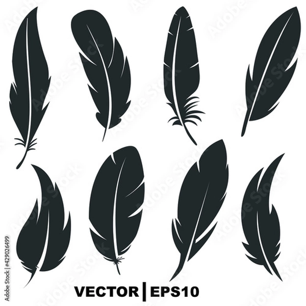 Fototapeta set of feathers on white background.