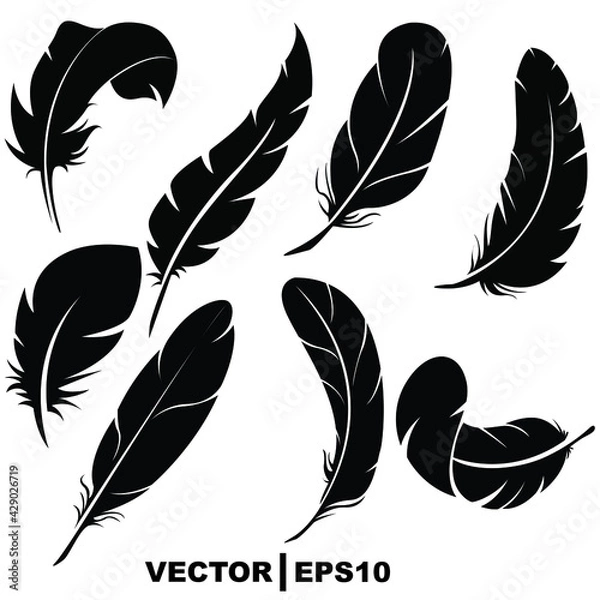 Fototapeta set of feathers on white background.