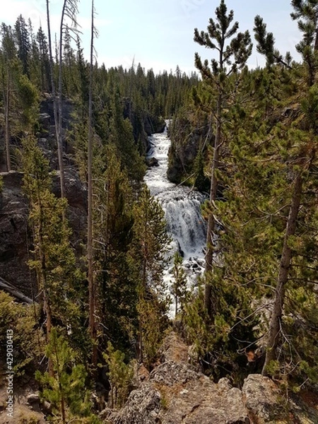 Fototapeta park state