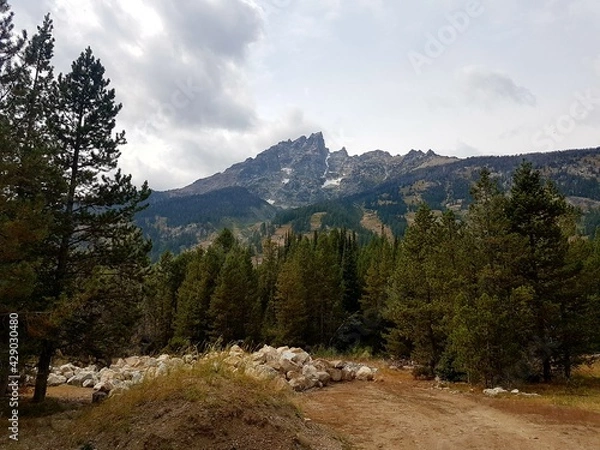 Fototapeta yellowstone