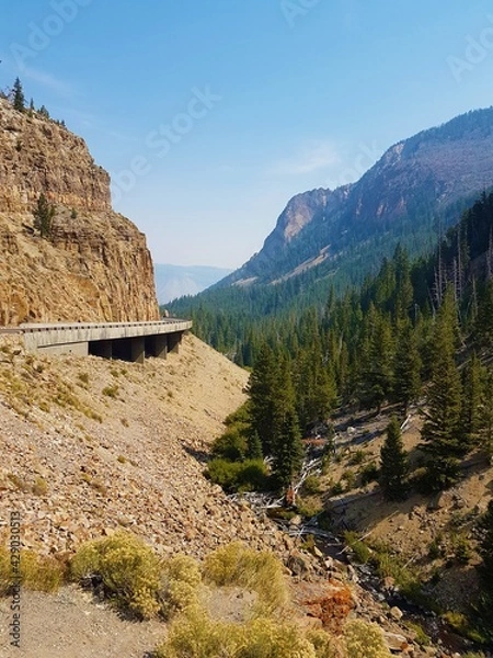 Fototapeta yellowstone