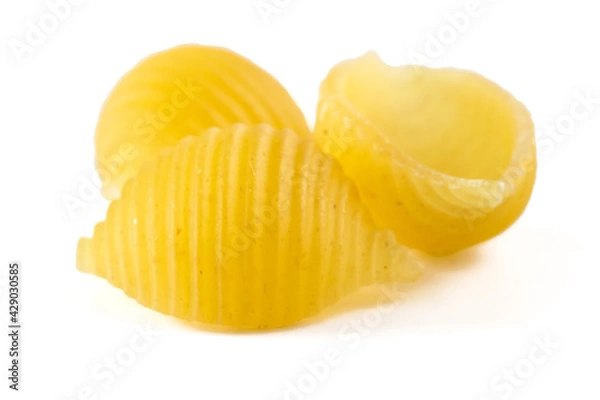 Obraz Seashell pasta