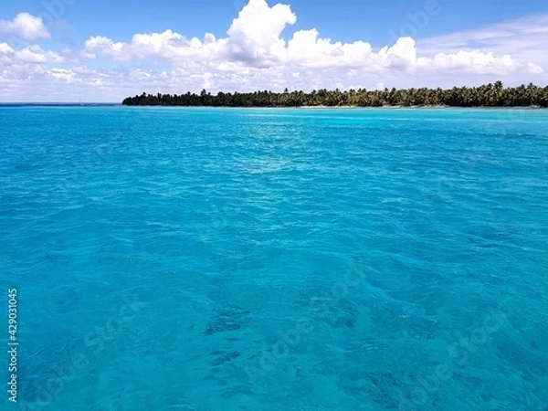 Fototapeta punta cana