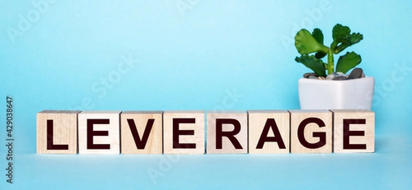 Fototapeta The word LEVERAGE is written on wooden cubes near a flower in a pot on a light blue background