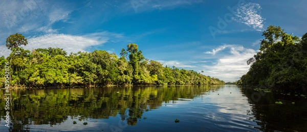 Obraz Landscapes of the Peruvian Amazon Rainforest
