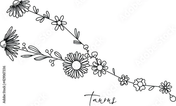 Obraz Zodiac floral constellation