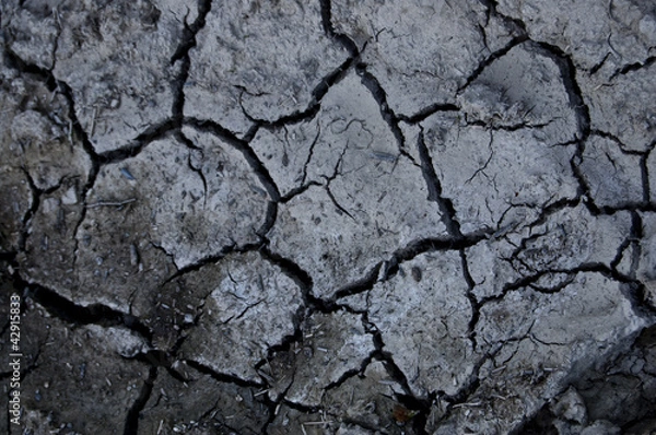 Obraz Dry soil texture