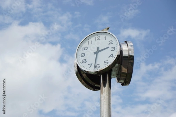 Fototapeta 公園の時計