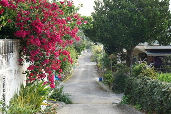Fototapeta 沖縄石垣島