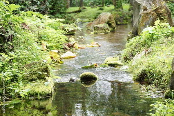 Fototapeta 大雪山国立公園