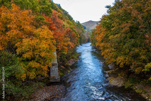 Obraz 秋の滝上町錦仙峡の紅葉