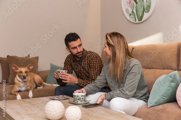 Obraz couple have a coffee, young couple sitting on a sofa having a coffee, next to it is lying their dog that is tan and white with short hair