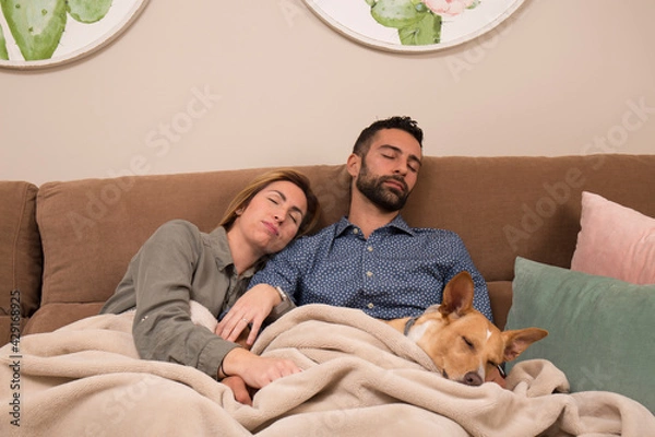 Obraz couple and their dog asleep, the man, the woman and the dog have fallen asleep sitting on a brown sofa and covered with a blanket