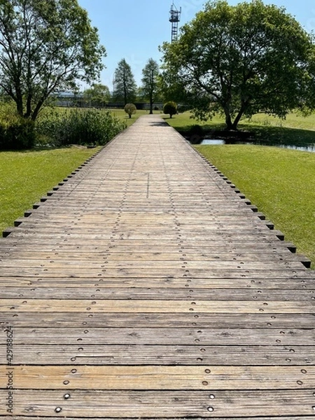 Fototapeta 自然豊かな公園