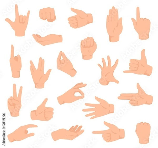 Fototapeta Flat hands. Man hand with various gestures and fist. Open palm victory and thumbs up, pointing finger sign. Holding and giving arm vector set. Body language signals for communication