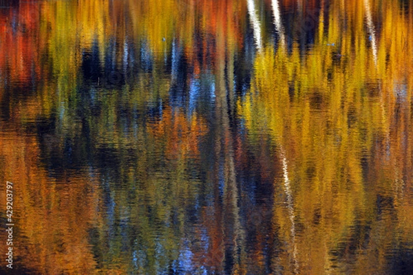 Fototapeta Der Goldene Herbst spiegelt sich in einem See