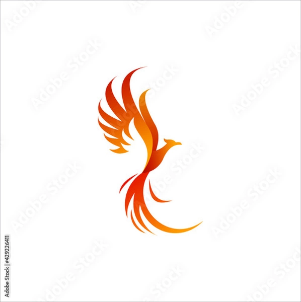 Obraz fire bird phoenix creative logo design vector illustration