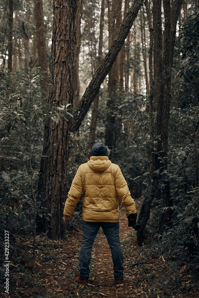 Fototapeta man in the forest