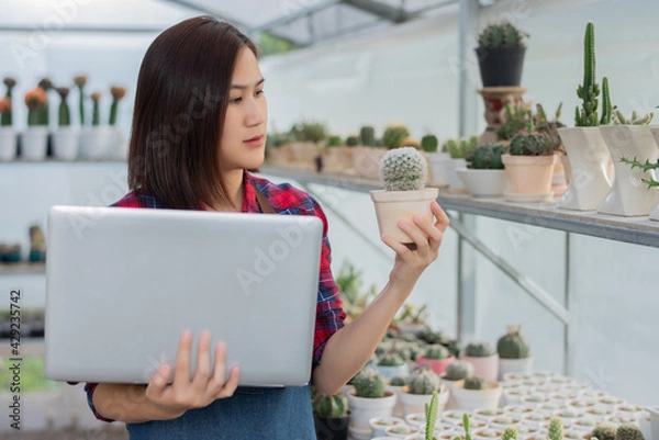 Obraz A beautiful Asian woman in a red and blue scottish shirt stands. holding a laptop On the farm cactus to accept orders for a cactus from an online market customer