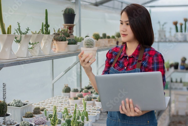 Obraz A beautiful Asian woman in a red and blue scottish shirt stands. holding a laptop On the farm cactus to accept orders for a cactus from an online market customer