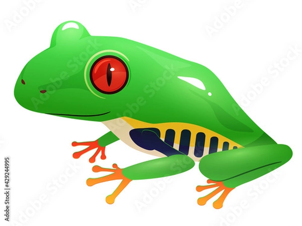 Fototapeta アカメアマガエルのイラスト_かわいいカエル_立体的