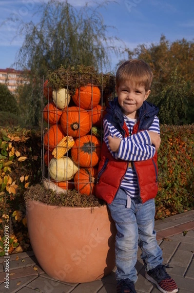 Obraz child and pumpkins