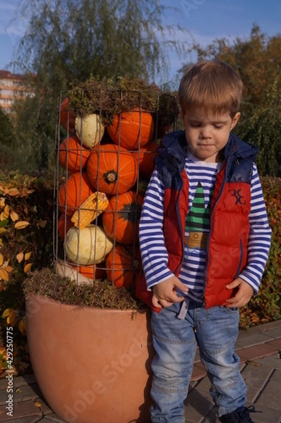 Obraz boy and pumpkins