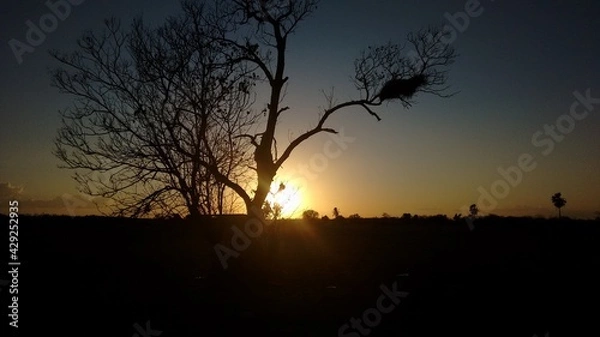 Obraz sunset on the river