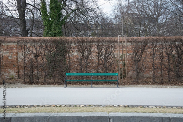 Obraz empty green bench in a park