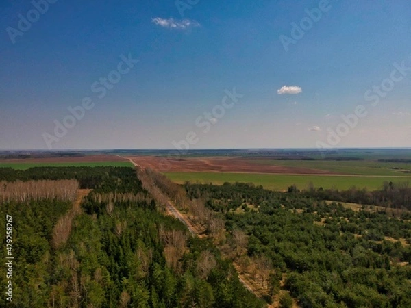 Fototapeta Aerial view of countryside in Belarus