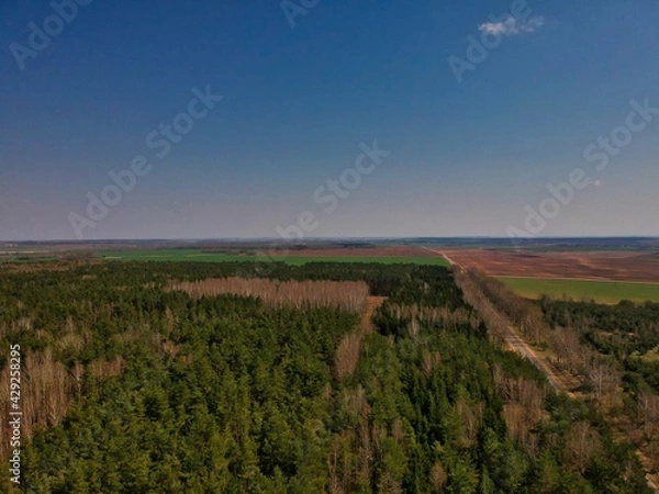 Fototapeta Aerial view of countryside in Belarus