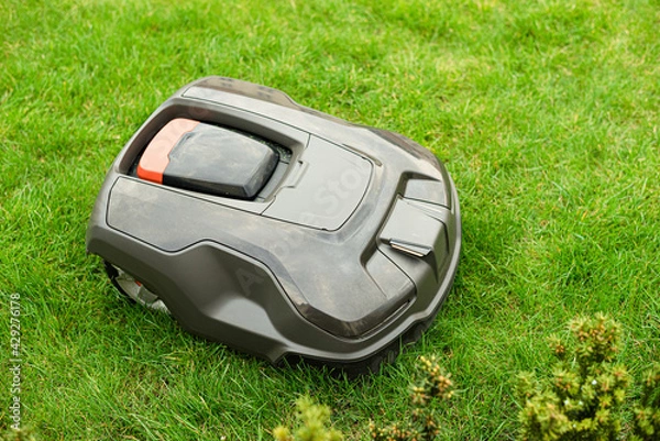 Obraz Automatic robot mows the garden lawn.
