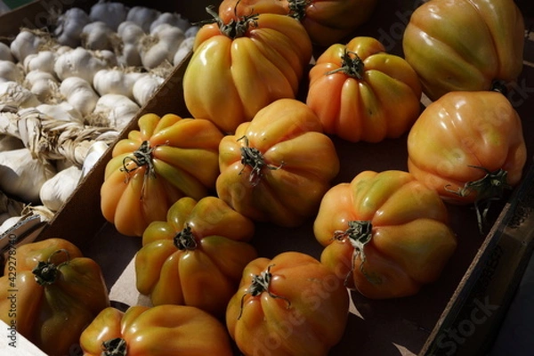 Obraz garlic and tomato