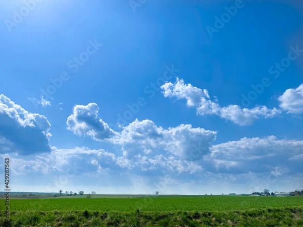 Obraz Blue sky. Spring