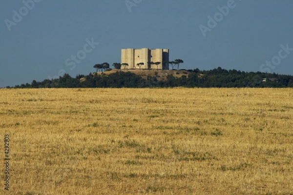 Fototapeta maniero federiciano