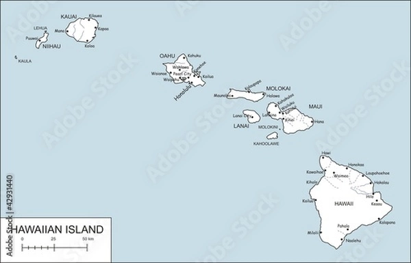 Obraz hawaiian island