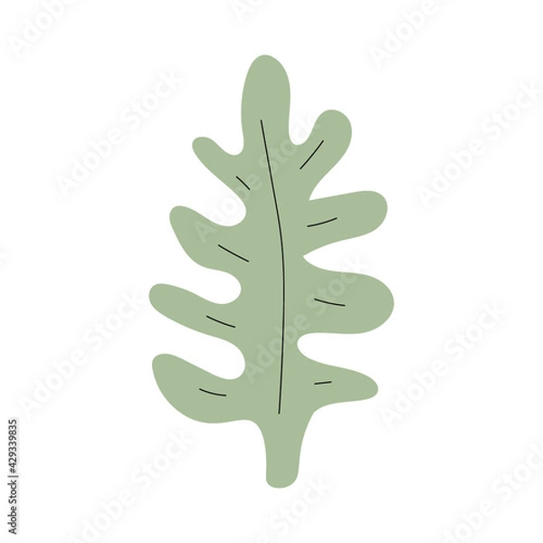 Fototapeta Green leaf. Cute spring or summer  illustration. Simple cartoon hand-drawn style. Scandinavian doodle. Vector isolates on a white background. 