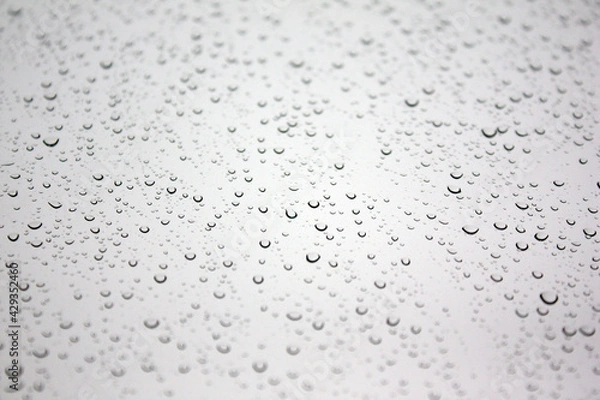 Fototapeta textured appearance formed by large and small water droplets formed on the white glass