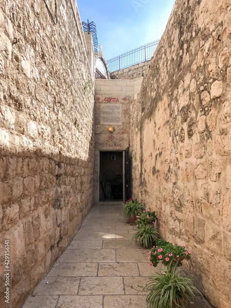 Fototapeta Gethsemani 