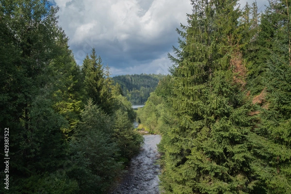 Obraz A wild river flowing into a mountain lake among the trees