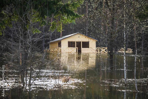 Fototapeta The spring flood flooded private homes. Flooding in the village.