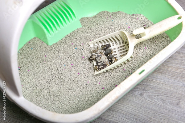 Obraz cat litter box with cat feces in it,sand tray,pets toilet