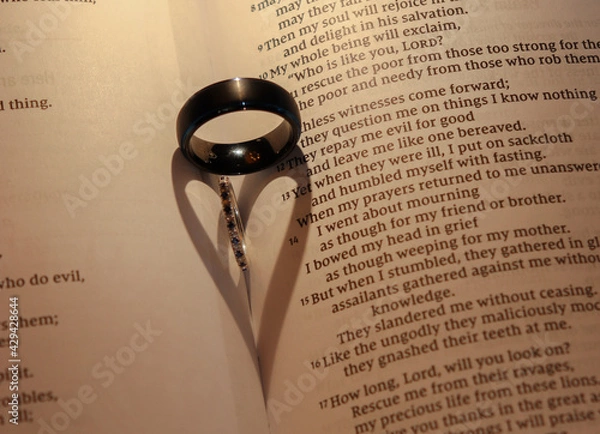 Obraz rings on a book