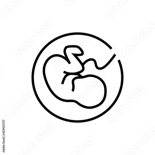 Fototapeta Growth fetus development icon. Pregnancy vector illustration. Isolated contour of orthopedic material on white background. Editable stroke.
