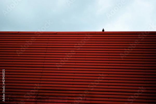Obraz a mall wall and a pigeon sitting at the very top, framed by a dark gray sky.