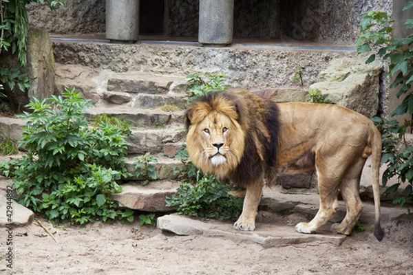 Fototapeta Stay alert