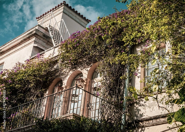 Obraz Palm Beach Worth Ave